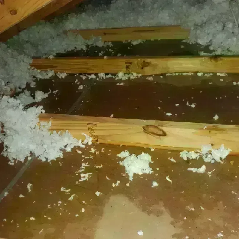 Attic Water Damage in East Earl, PA